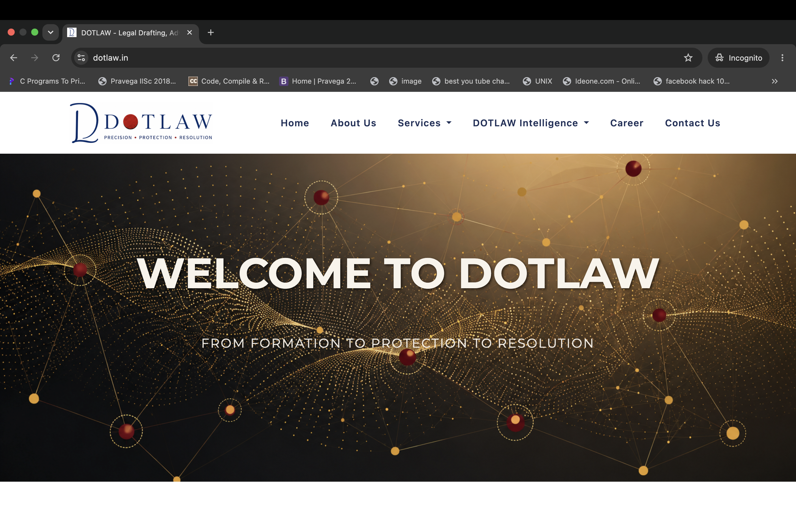 Consultant Website